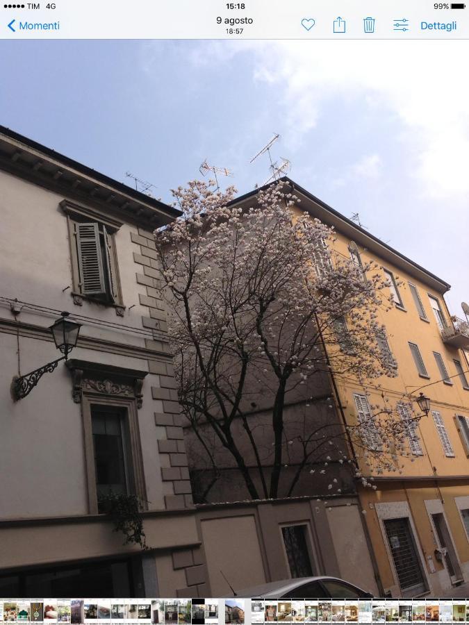 Bed and Breakfast Magnolia Casale Monferrato Exterior foto