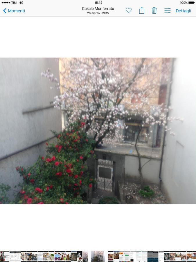 Bed and Breakfast Magnolia Casale Monferrato Exterior foto